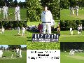 50 not out