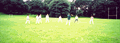 Catching Practice