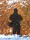 Daryll Townend Member profile